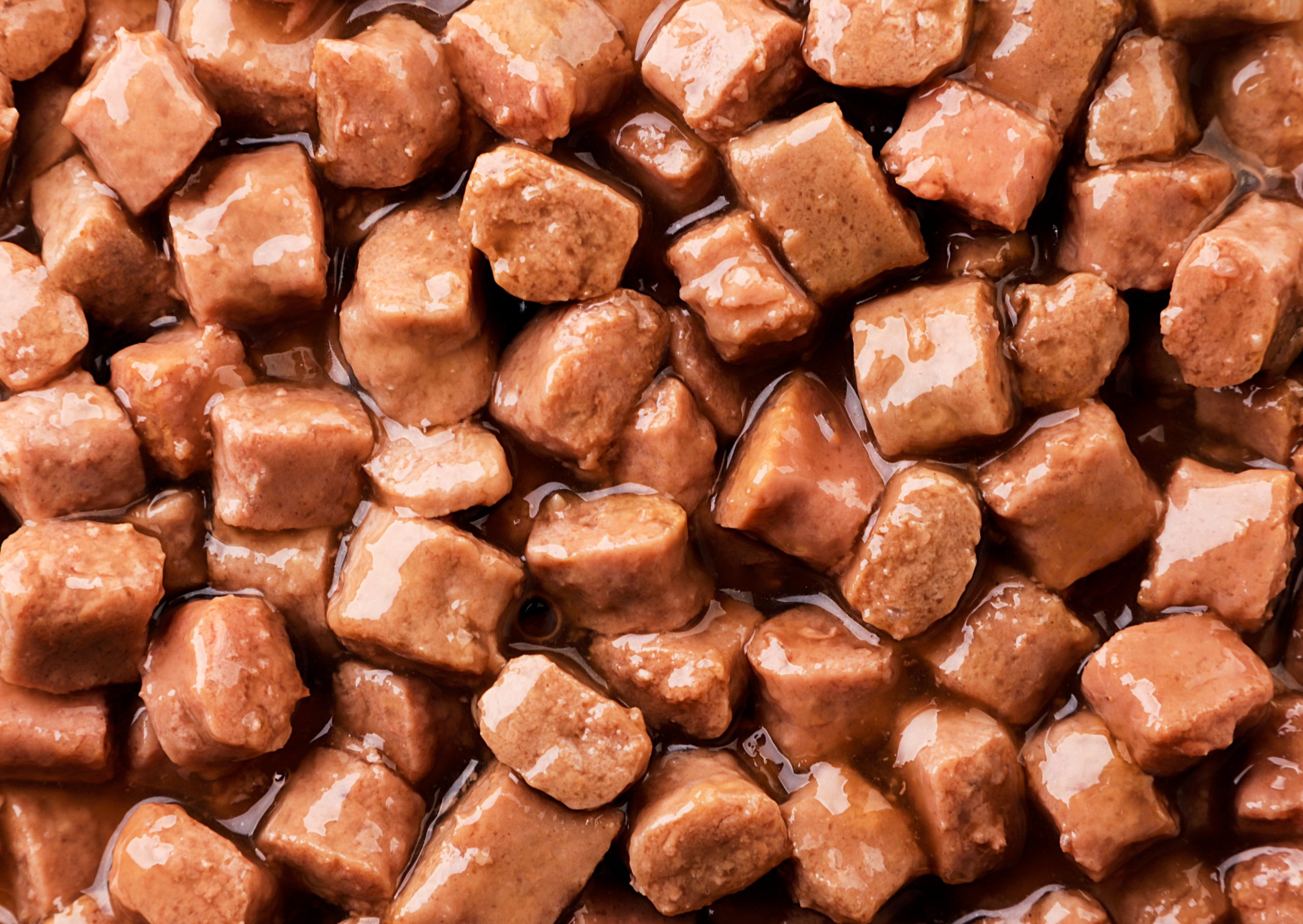 Pet Food